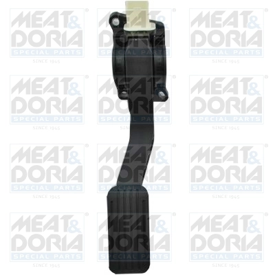 Accelerator Pedal Unit
